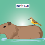 Kapibara, Curi Perhatian Netizen Indonesia